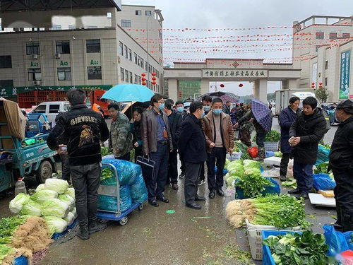 春節(jié)期間食用農(nóng)產(chǎn)品質(zhì)量安全專項(xiàng)執(zhí)法行動(dòng)全面展開(kāi)，筑牢群眾“菜籃子”安全防線